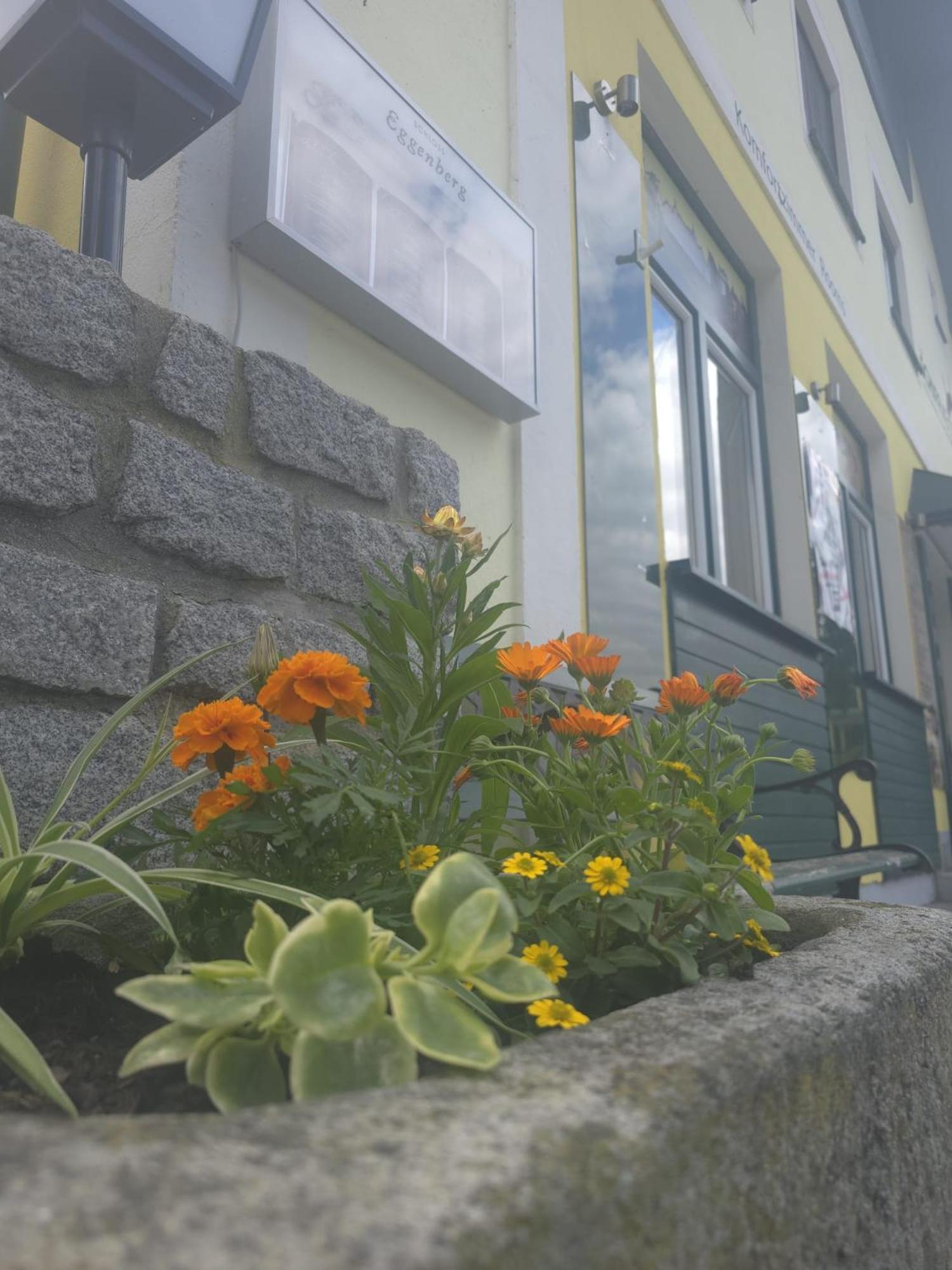 Gasthof Zum Schiffmeister Везенуфер Экстерьер фото